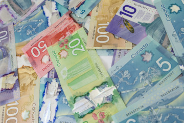 Canadian dollar bills or banknotes