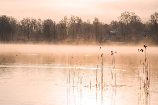 Pink Mist On The River