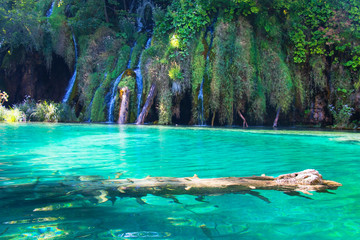 Obraz na płótnie Canvas waterfall, blue lake, tree in water