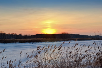 Frozen river in winter, dry reeds and sunset