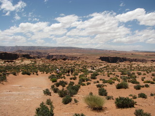 landscape in desert