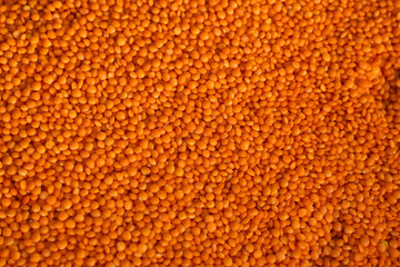 Dry red lentils for food texture