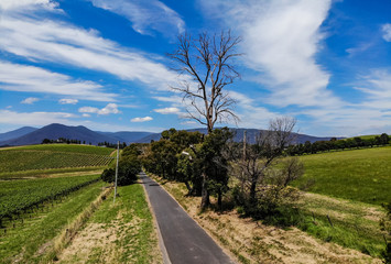Fototapeta na wymiar Rural road in Yarra Valley, Australia