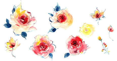 Flowers watercolor illustration.Manual composition.Big Set watercolor elements.
