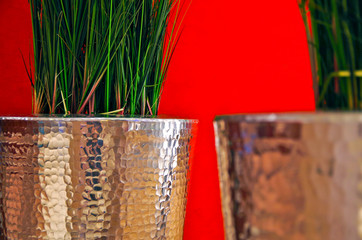 Green grass inside silver planters against red wall onboard luxury cruise ship liner