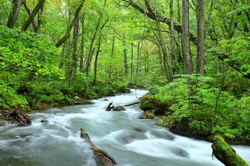Gardinen Landschaft, Uferzone, Naturlandschaft © JP trip landscape DL