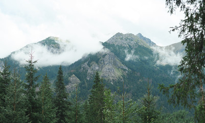 Tatra Mountains, in southern Poland. Mountain rocky landscape and coniferous forest. View on the way to Morskie Oko. Landscape. Background. Wallpaper.