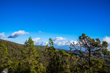 Spain, Tenerife, View above green tree tops in the mountains with moon and blue sky and some clouds © Simon Dux Media