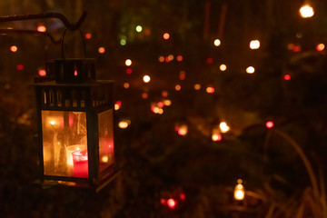 A lantern illuminated in the woods with several lanterns behind it