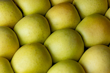 Bunch of green apples in supermarket. .Green apples in a vegetable shop. Background from green apples.