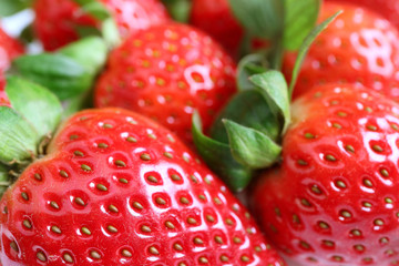 Closeup row of vibrant red fresh ripe strawberries with selective focus 