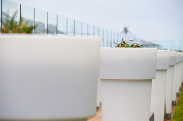 White plastic planters in line on outdoor space onboard luxury cruise ship liner