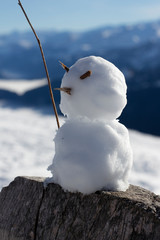 snowman in snow