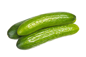 Tree bright green cucumbers