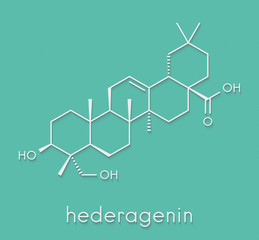 Hederagenin common ivy molecule. Skeletal formula.