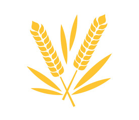 Wheat ears on a white background. Vector illustration.