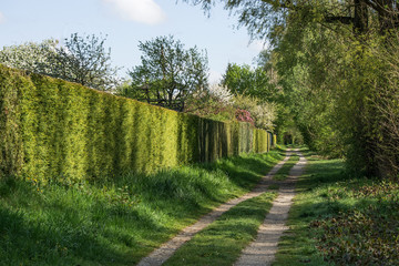 Fototapeta premium Wanderweg entlang der Gartenanlage