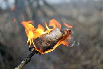 Fishing spinning on the lake, lunch break