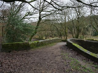 Stone footpath bridge and trees all covered with moss and muddy path