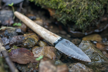 flint knife - stone age tool (leaf blade in deer antler) in nature