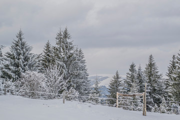 Sommet du Hilsenfirst, Vosges