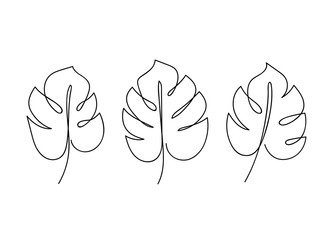 Set of hand drawn monstera leaves. Line art. Contour drawing. Minimalism. Modern decor. © LaruArt