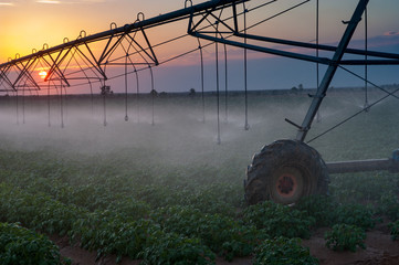 The self-propelled irrigation system in fields on the border of Israel, Egypt and the Gaza Strip