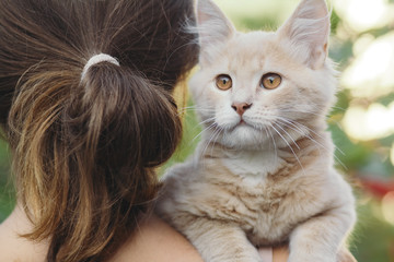 cute kitten in hands of a girl, a ginger cat lies on the shoulder, a woman and a cat walking in the summer garden