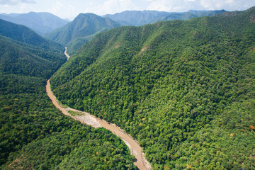 Aerial view of teak forest near Thailand and Myanmar border. 