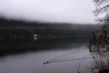 Lake Titisee in the german black forest