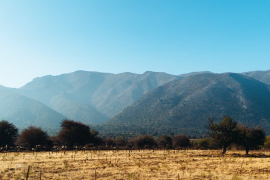 Mountains by the road