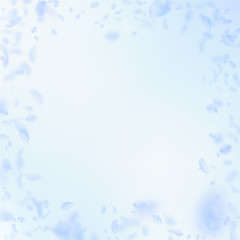 Light blue flower petals falling down. Majestic ro