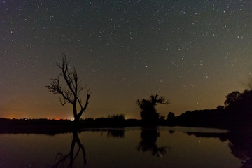 Fototapeta premium Starry Sky with city lights at Starry Park Westhavelland, Havelaue, Brandenburg, Germany