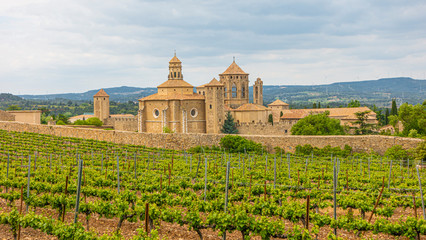 View over vineyard to monastery of Poblet in Spain in summer