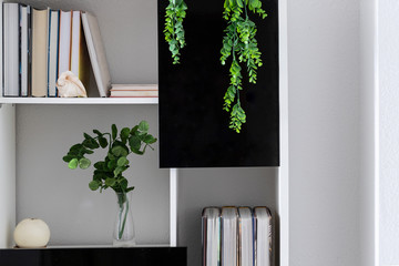Part of White black bookcase with decorative plant and books for modern interor design concept