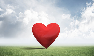 Big red heart on green field