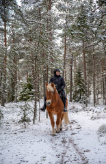 Woman horseback riding in winter