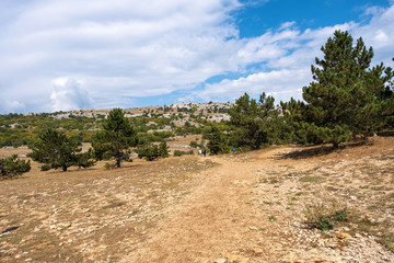 Panorama of the Ai-Petri plateau with low pines on a cloudy sunny day.
