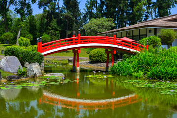 Fototapeta na wymiar Traditional red bridge at the Japanese Garden