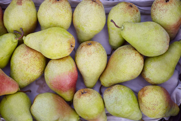 Freshly harvested juicy flavorful pears in plastic crates. Small farm concept. Free space for text . Flat lay. Top view.