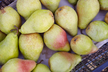 Freshly harvested juicy flavorful yellow pears in plastic crates. Small farm concept. Free space for text . Flat lay. Top view