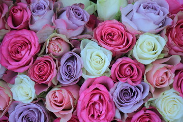  pink and purple mixed wedding roses