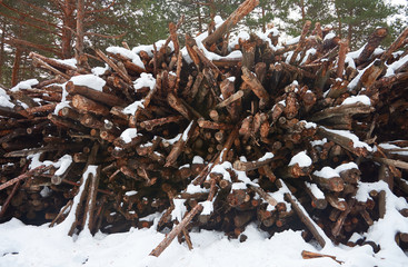 Snow in the Port of Canencia. National Park of the Sierra de Guadarrama. Madrid's community. Spain