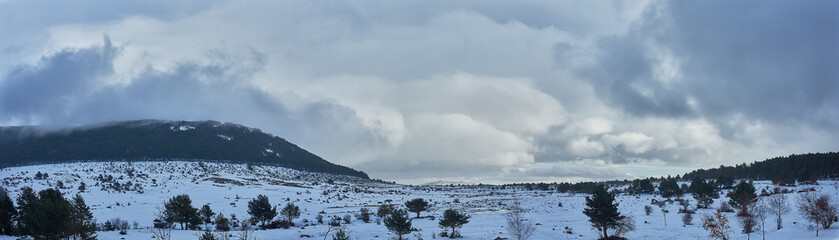 Snow in the Port of Canencia. National Park of the Sierra de Guadarrama. Madrid's community. Spain