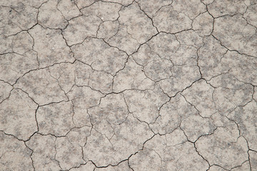 Cracked and dried ground background