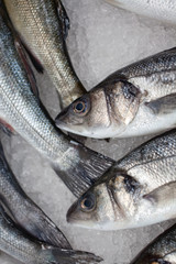 sea bass on the market.