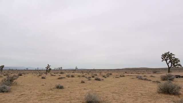 4K. Ultra HD. Entrance sign of the National Park Service to Desert Habitat in Mojave National Preserve, towards public lands. Panoramic view of the main road towards the Mojave Desert.