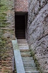 Fototapeta na wymiar Old castle entrance with the stairs, bricks with moss - Image