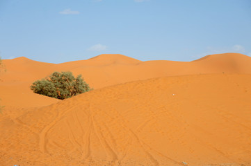 The seas of dunes of Erg Chebbi near Merzouga in southeastern Morocco.