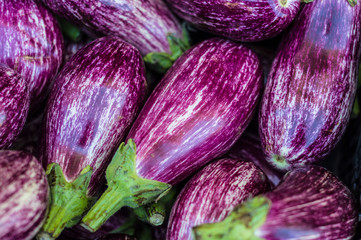 Conjunto de berenjenas moradas.